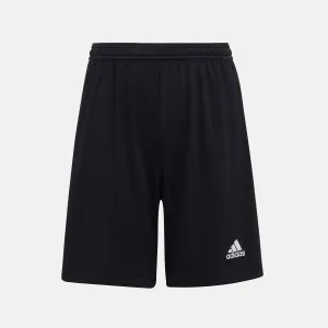 Youth Entrada 22 Shorts